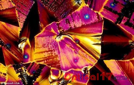 這些圖片是在美國(guó)佛羅里達(dá)州大學(xué)化學(xué)系拍攝的，所拍攝的酒精飲料樣本包括：伏加特、冰鎮(zhèn)果汁朗姆酒和白葡萄酒 