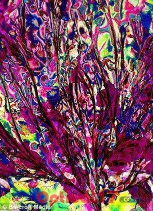 顯微鏡下的馬提尼酒