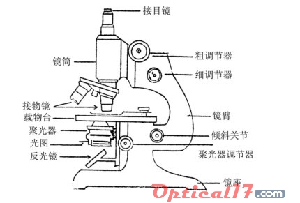 顯微鏡的構(gòu)造及各部名稱