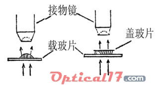 顯微鏡物鏡與載玻片