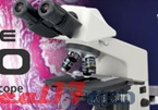 尼康E100 教學級 正置顯微鏡