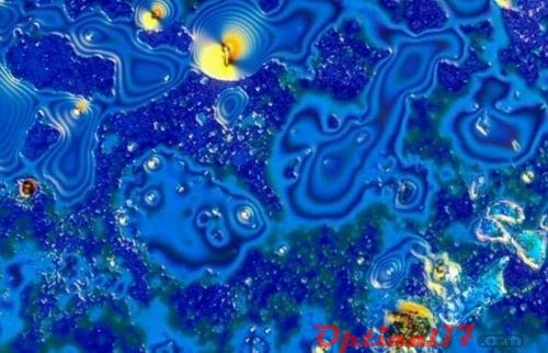 顯微鏡下的Scotch (蘇格蘭)