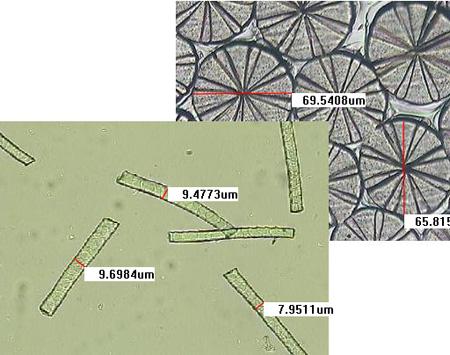 紡織纖維顯微測量圖