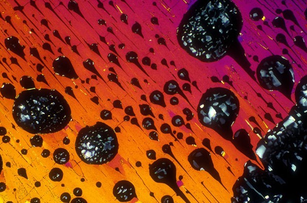 顯微鏡下的酒精飲料:色彩絢麗展現(xiàn)驚艷之美