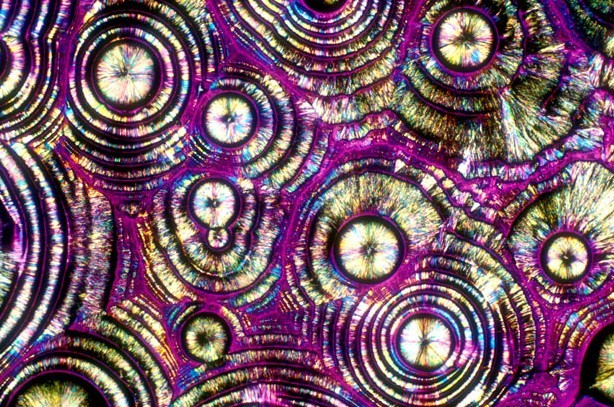 顯微鏡下的酒精飲料:色彩絢麗展現(xiàn)驚艷之美