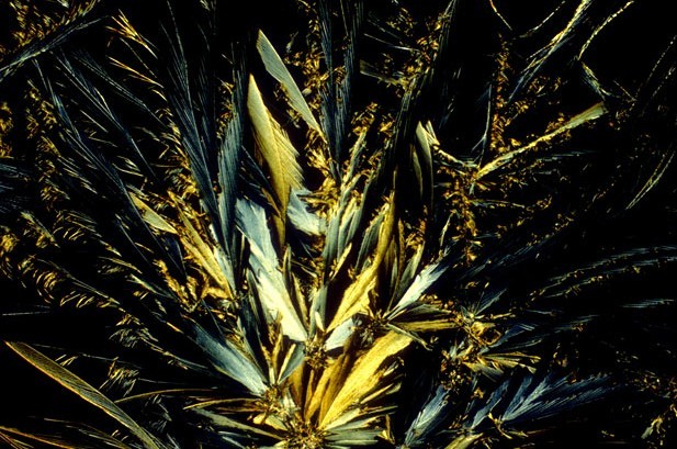 顯微鏡下的酒精飲料:色彩絢麗展現(xiàn)驚艷之美