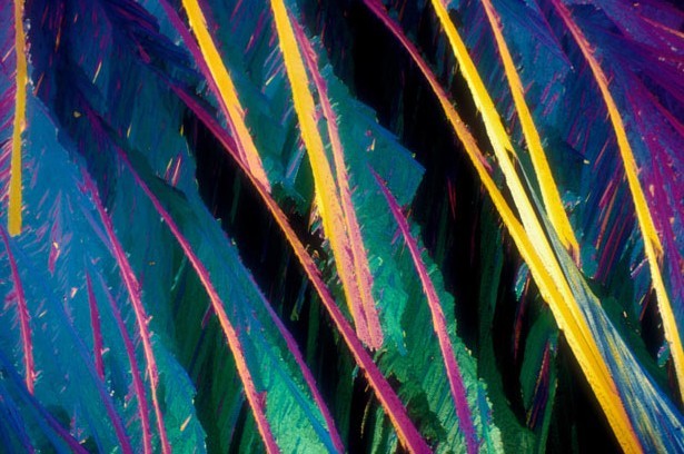 顯微鏡下的酒精飲料:色彩絢麗展現(xiàn)驚艷之美