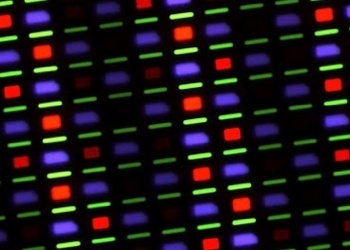 顯微鏡下:那些屏幕