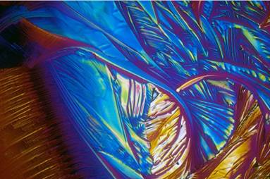 偏光顯微鏡下的各種酒看看也是醉了