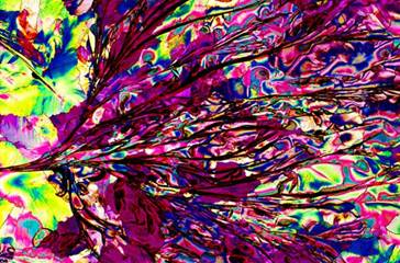 偏光顯微鏡下的各種酒看看也是醉了