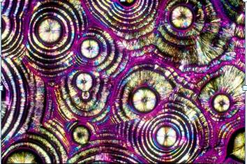 偏光顯微鏡下的各種酒看看也是醉了