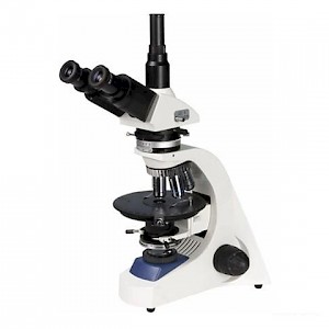 LW300-48LPT透射偏光顯微鏡