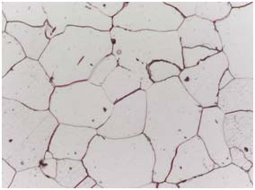 明場顯微鏡和暗場顯微鏡在金相分析中應(yīng)用