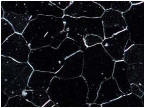 明場顯微鏡和暗場顯微鏡在金相分析中應(yīng)用