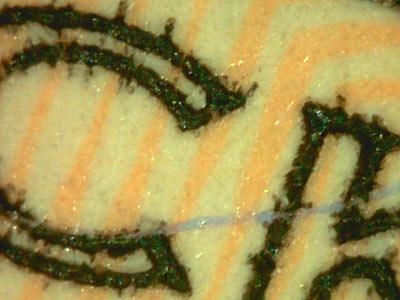 充分滿足你的好奇心 USB數(shù)字顯微鏡 -新聞-中國(guó)顯微圖像網(wǎng)