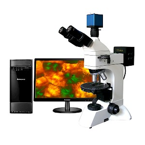 LWT300LPT透反射偏光顯微鏡