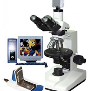 CPN-308型透射熱臺偏光顯微鏡