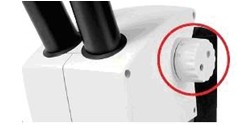 LEICA ES2體視顯微鏡如何正確對焦