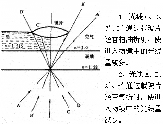 顯微鏡油鏡的使用方法和維護(hù)