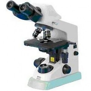Eclipse E100正置生物顯微鏡