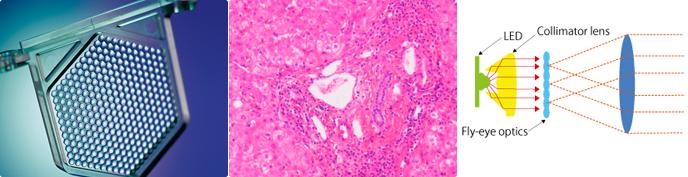 Eclipse E100正置生物顯微鏡