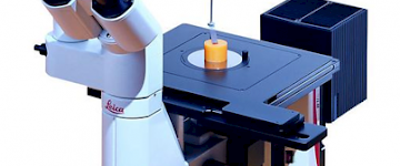 為什么說顯微鏡和社會(huì)與時(shí)俱進(jìn)？