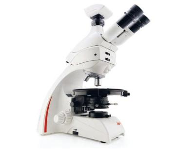 偏光顯微鏡 的圖像結(jié)果