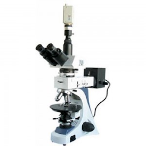 BM-60XCC三目偏光顯微鏡