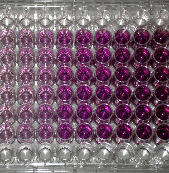 MTT中使用的三聯(lián)液怎么用英文表述?