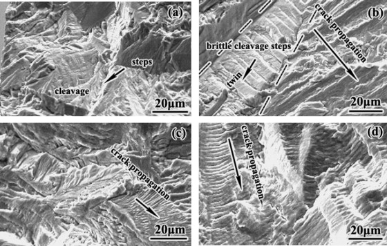 掃描電子顯微鏡拍攝的AL6XN超級奧氏體不銹鋼圖片