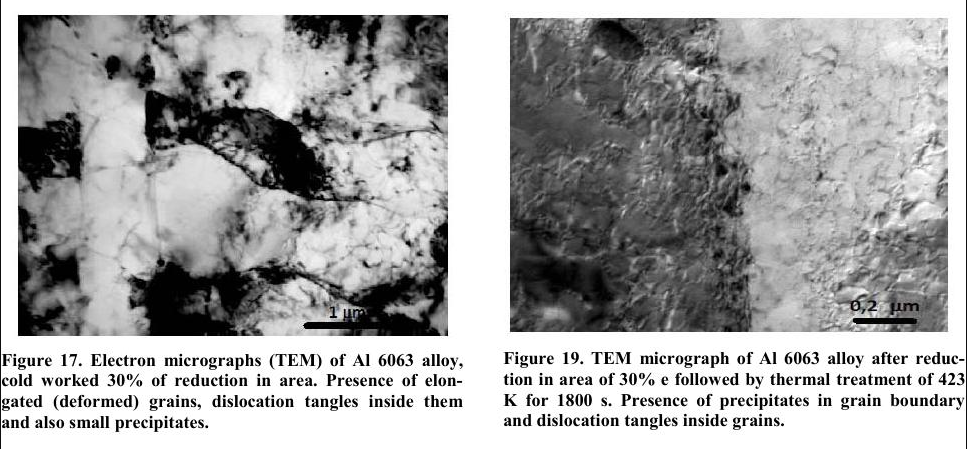 6063鋁合金電子顯微鏡顯微圖片
