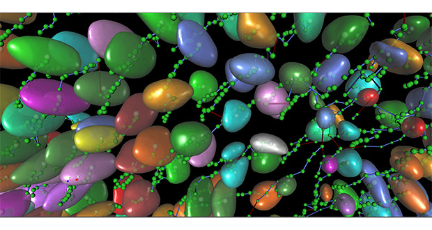 物鏡對(duì)果蠅胚胎進(jìn)行成像 物鏡對(duì)果蠅胚胎進(jìn)行成像