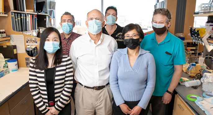 科菲實(shí)驗(yàn)室