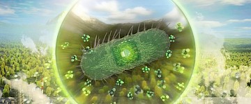 工程細(xì)菌將捕獲的二氧化碳轉(zhuǎn)化為用于燃料、織物和化妝品所需有價(jià)值的化學(xué)品