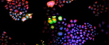麻省理工學(xué)院化學(xué)工程師正在尋找Jekyll-and-Hyde分子