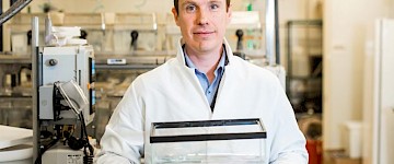 對肢體和器官再生的突破性認(rèn)識——更接近再生醫(yī)學(xué)療法的發(fā)展