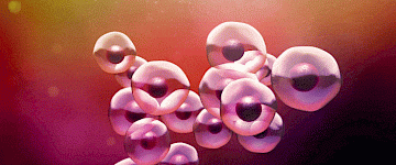 科學(xué)變得簡單：什么是微生物學(xué)？
